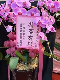 親屬花籃